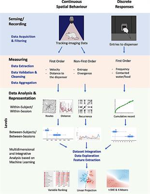 Beyond Single Discrete Responses: An Integrative and Multidimensional Analysis of Behavioral Dynamics Assisted by Machine Learning